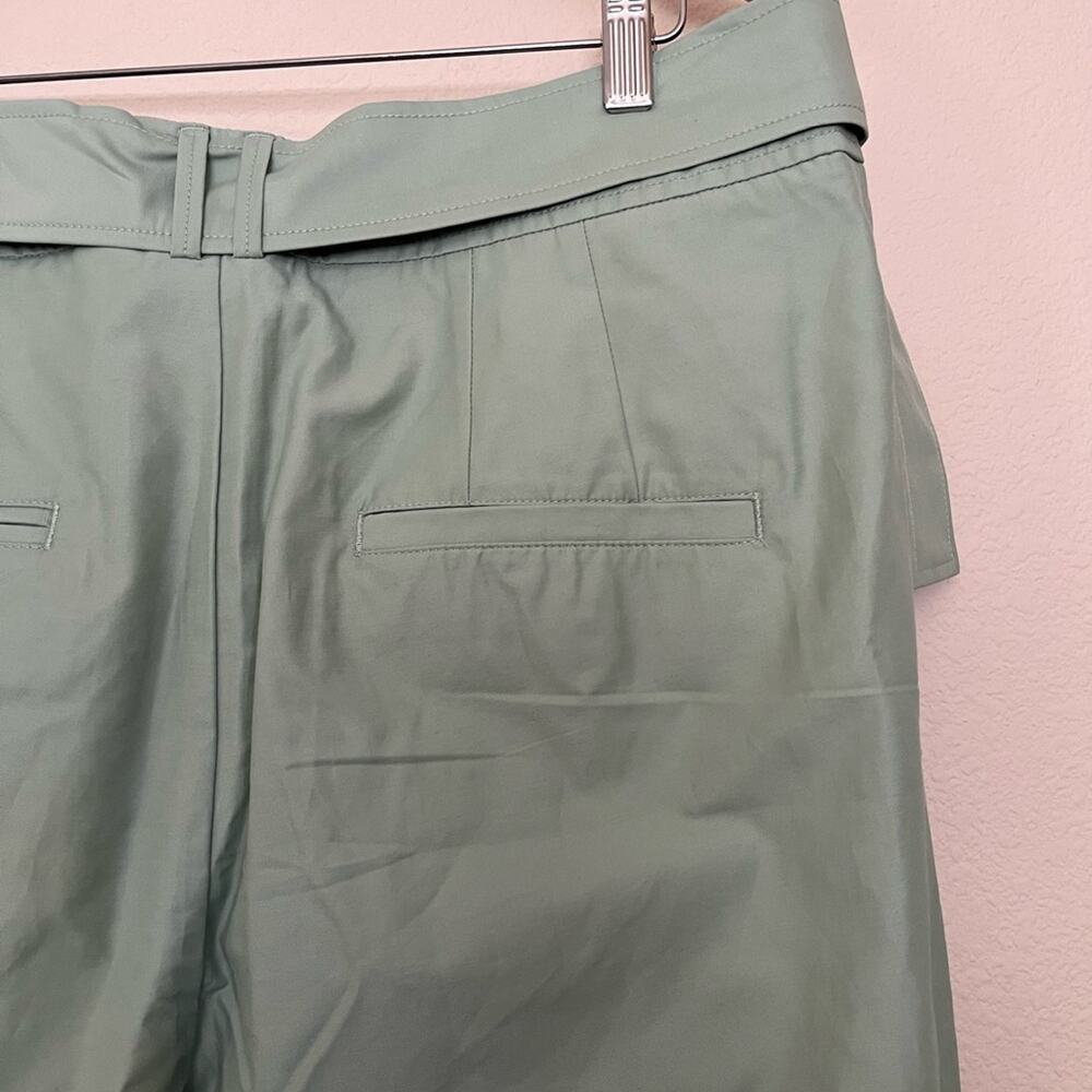 Maeve Light Green Cropped Ankle Pants - Picture 8 of 12